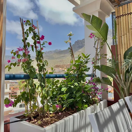Sunset Hideaway-roque Del Conde Apartamento *